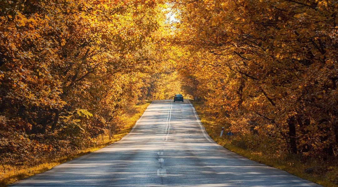 Pregătirea mașinii pentru toamnă: sfaturi utile pentru șoferi
