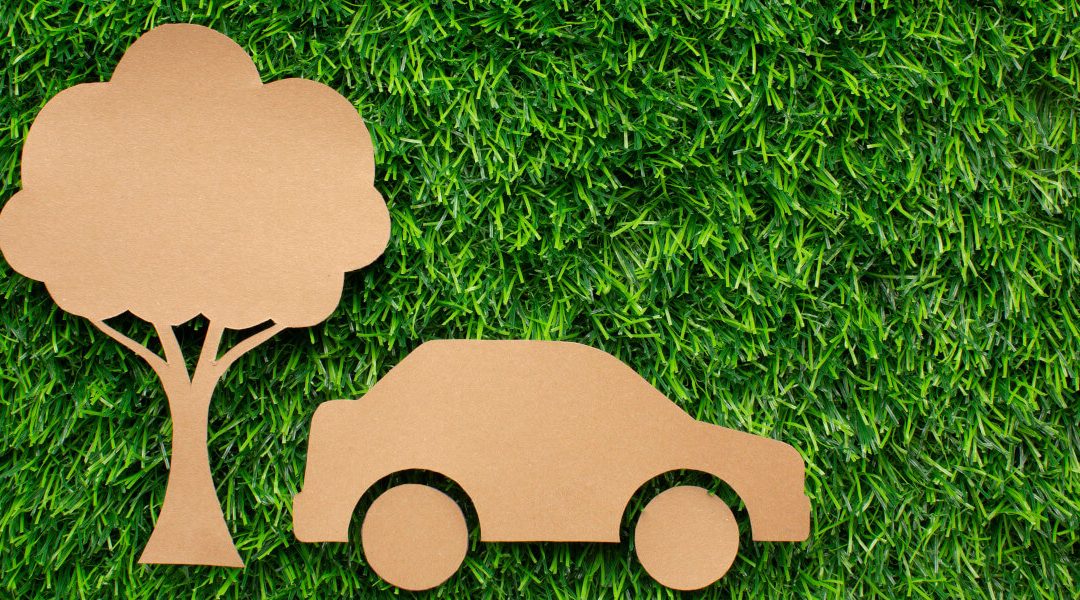 Ghid complet de eco-driving pentru începători